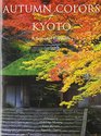 Autumn Colors of Kyoto A Seasonal Portfolio