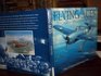 Flying aces Aviation art of World War II