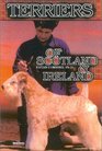 The Terriers of Scotland and Ireland