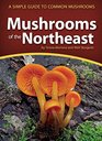 Mushrooms of the Northeast A Simple Guide to Common Mushrooms