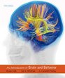 Introduction to Brain  Behavior