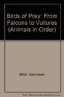 Birds of Prey From Falcons to Vultures