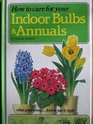 How to Care for Your Indoor Bulbs and Annuals