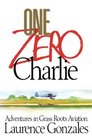 One Zero Charlie Adventures in Grass Roots Aviation