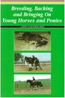 Breeding Backing and Bringing on Young Horses and Ponies