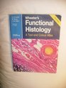 Wheater's Functional Histology A Text and Colour Atlas