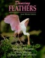 Dancing Feathers  Photographs  Reflections of Wading Birds from Southern Swamps Ponds and Rookeries