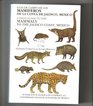 A Field Guide to the Mammals to the Jalisco Coast Mexico