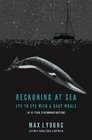 Reckoning at Sea Eye to Eye With a Gray Whale