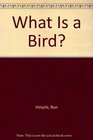 What Is a Bird