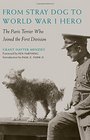 From Stray Dog to World War I Hero The Paris Terrier Who Joined the First Division