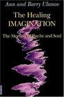 The The HEALING IMAGINATION