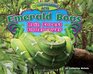 Emerald Boas Rain Forest Undercover