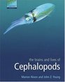 The Brains and Lives of Cephalopods