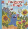 Bugged by Bugs