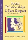 Social Relationships And Peer Support Second Edition