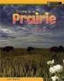 Living in a Prairie