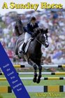 A Sunday Horse: Inside the Grand Prix Show Jumping Circuit