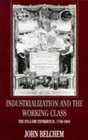 Industrialization and the Working Class The English Experience 17501900