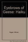 Eyebrows of Geese Haiku