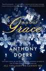 About Grace A Novel