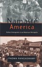 Namaste America  Indian Immigrants in an American Metropolis