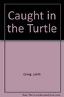 Caught in the Turtle
