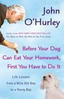 Before Your Dog Can Eat Your Homework First You Have to Do It Life Lessons from a Wise Old Dog to a Young Boy
