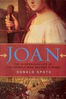 Joan The Mysterious LIfe of the Heretic that Became a Saint