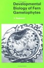 Developmental Biology of Fern Gametophytes