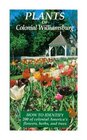 Plants of Williamsburg How to Identify 200 of Colonial America's Flowers Herbs and Trees