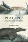 Platypus  The Extraordinary Story of How a Curious Creature Baffled the World