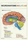 Neuroanatomie  Malatlas