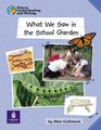 Pelican Guided Reading and Writing Year 1 What We Saw in the School Garden TB