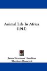 Animal Life In Africa