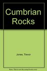 Cumbrian Rock