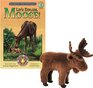 Let's Explore Moose