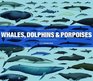 Whales Dolphins and Porpoises A Natural History and Species Guide