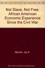 Not Slave Not Free African American Economic Experience Since the Civil War