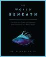 The World Beneath The Life and Times of Unknown Sea Creatures and Coral Reefs