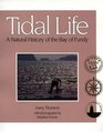 Tidal Life A Natural History of the Bay of Fundy