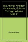 The Animal Kingdom  Mammals Echidna Through Whales