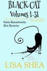Black Cat Vols 131  The Salem Massachusetts Mini Mysteries
