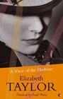 A View of the Harbour (Virago Modern Classics)