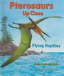 Pterosaurs Up Close Flying Reptiles