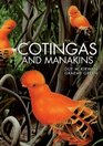 Cotingas and Manakins