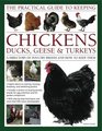 The Practical Guide to Keeping Chickens Duck Geese  Turkeys A Directory of Poultry Breeds and How to Keep Them With Stepbystep Instructions and More Than 650 Colour Photographs