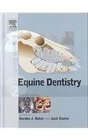 Equine Dentistry