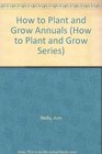 How to Plant and Grow Annuals