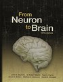 From Neuron to Brain Fifth Edition with Neurons in Action 2 Tutorials and Simulations using NEURON Download
